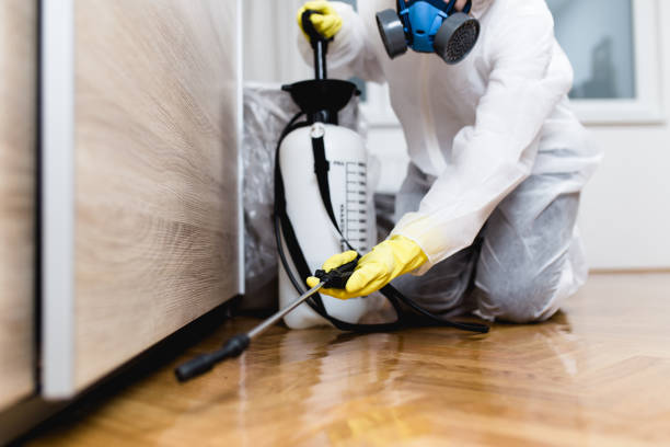 Best Pest Control Near Me  in West Fork, AR