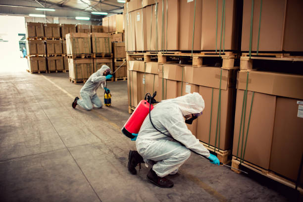Best Termite Control Services  in West Fork, AR