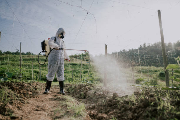 Best Best Pest Control Companies  in West Fork, AR