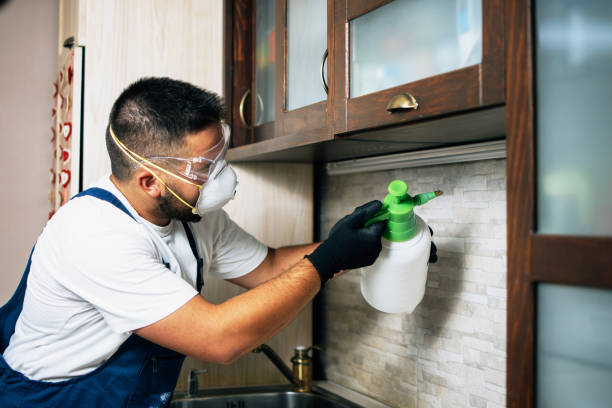 Best Emergency Pest Control  in West Fork, AR