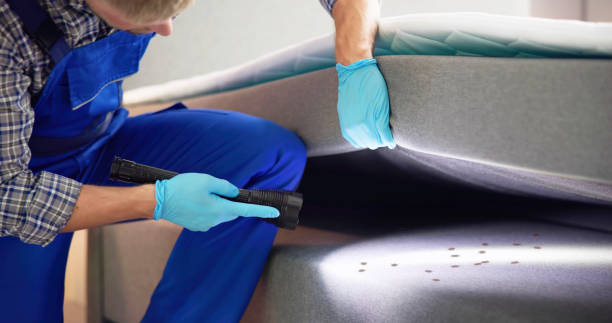 Best Affordable Pest Control Services  in West Fork, AR