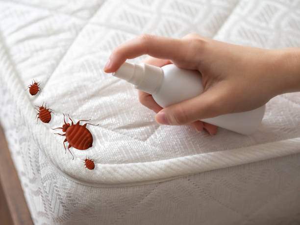 Best Local Pest Control Services  in West Fork, AR