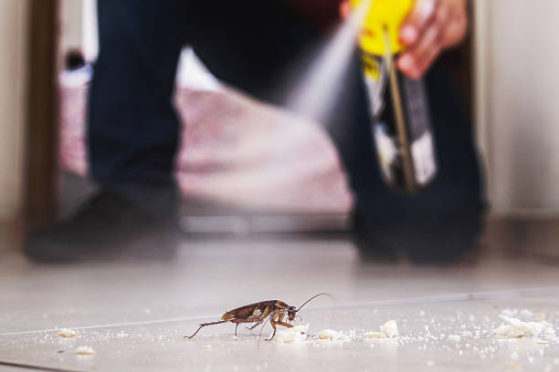Best Pest Inspection Near Me  in West Fork, AR